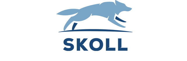 Логотип SKOLL Консалтинг